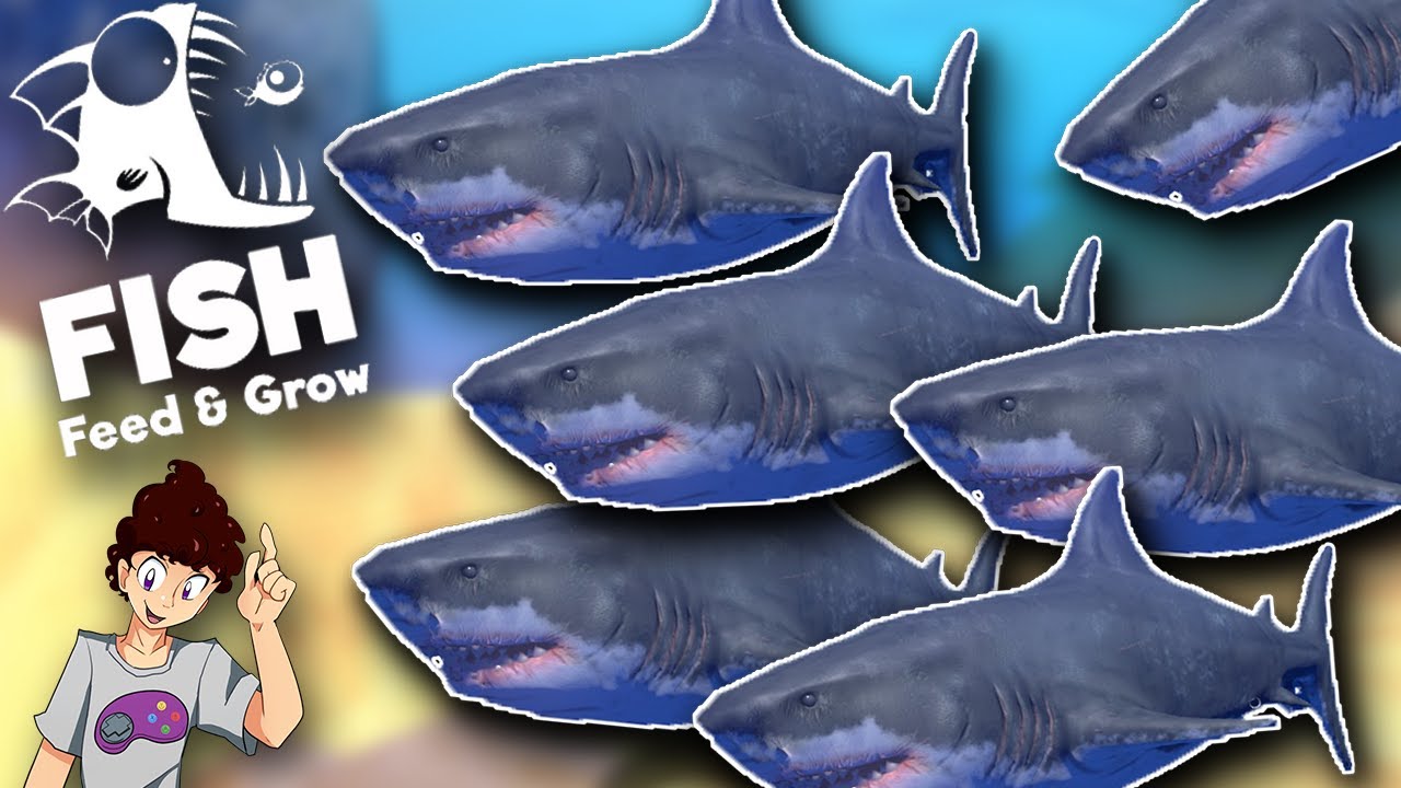 Feed And Grow Fish Game Hacked